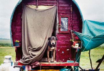 Iain_McKell